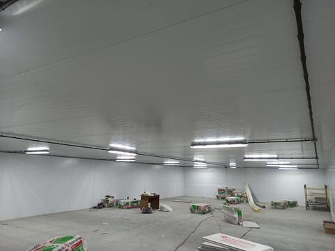 фото-пример 6